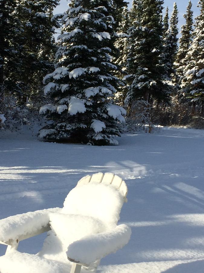 Denali Primrose Bed & Breakfast Хийли Екстериор снимка