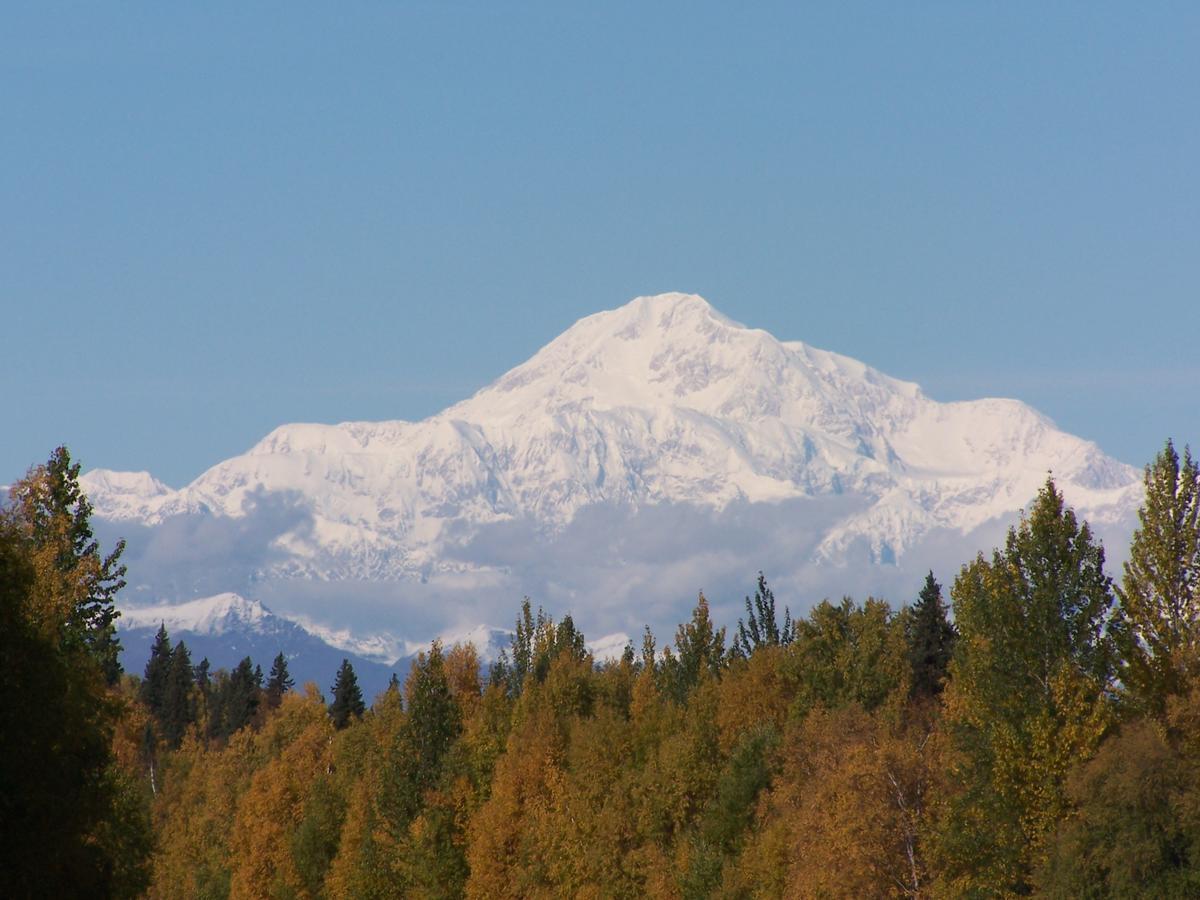 Denali Primrose Bed & Breakfast Хийли Екстериор снимка