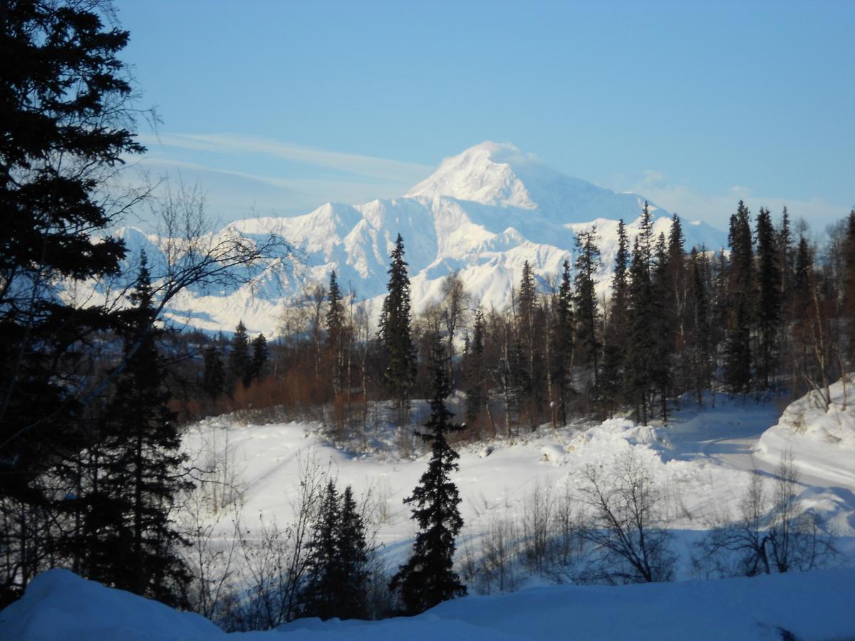 Denali Primrose Bed & Breakfast Хийли Екстериор снимка