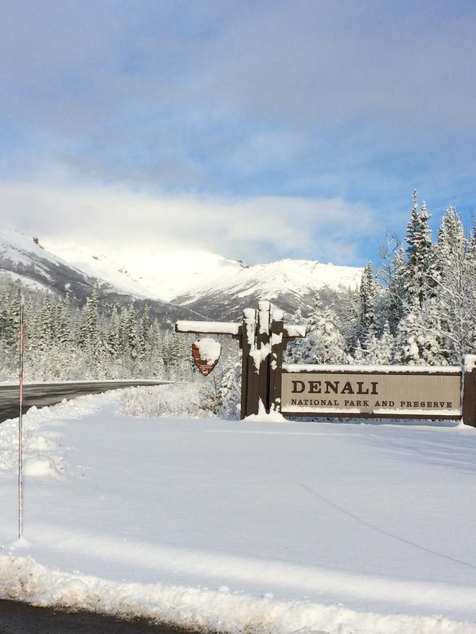 Denali Primrose Bed & Breakfast Хийли Екстериор снимка