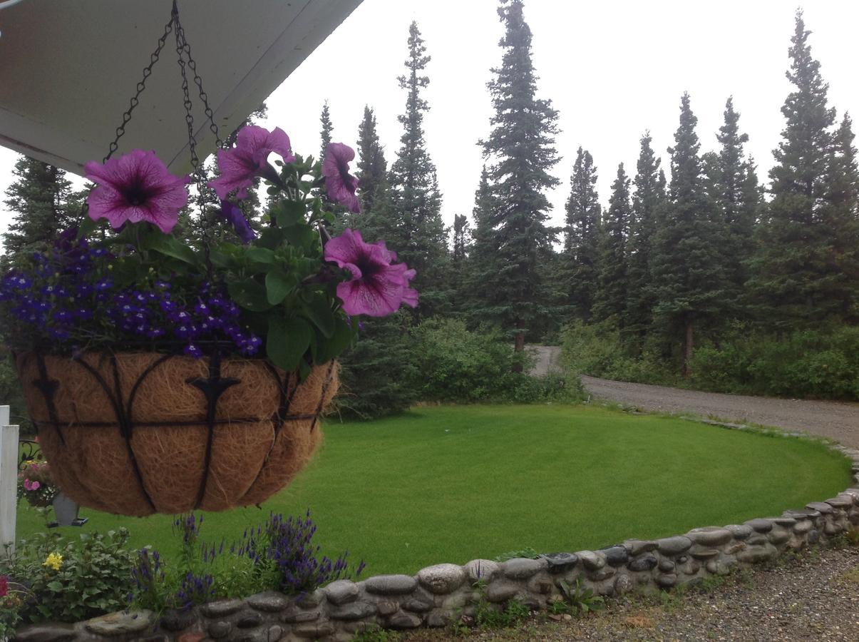 Denali Primrose Bed & Breakfast Хийли Екстериор снимка