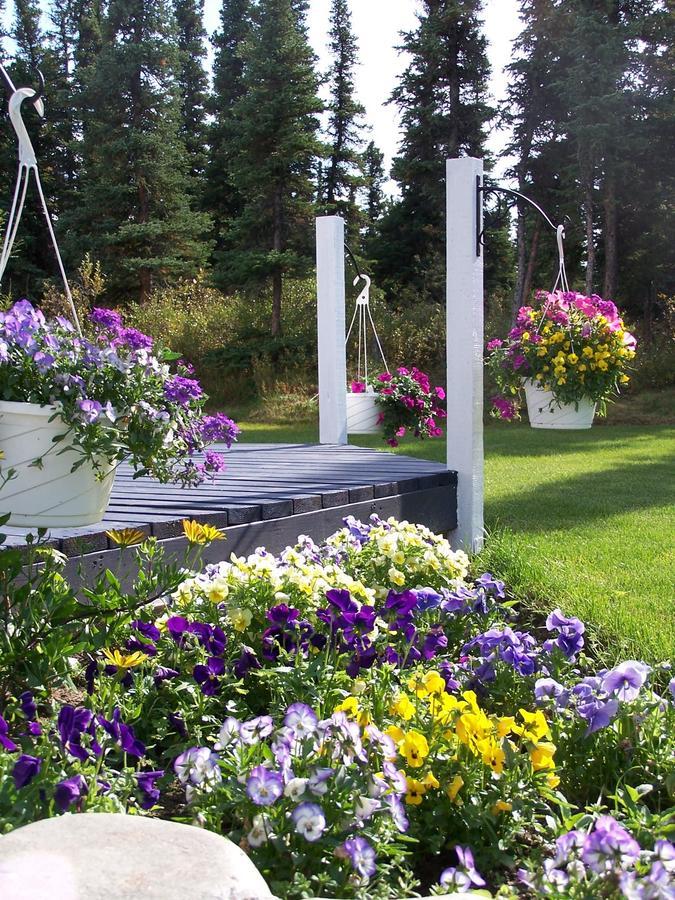 Denali Primrose Bed & Breakfast Хийли Екстериор снимка